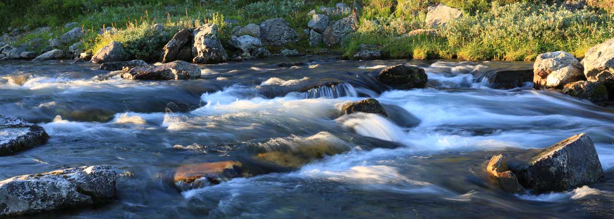 Stones in the rapids. Photo: Christina Wallnér